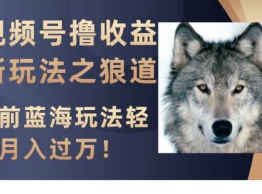 视频号撸收益新玩法之狼道,目前蓝海玩法轻松月入过万!