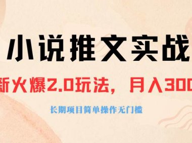 外面收费990的小说推广软件,零粉丝可变现,月入3000 ,小白当天即上手