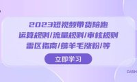 2023短视频·带货陪跑:运算规则/流量规则/审核规则/雷区指南/薅羊毛涨粉..
