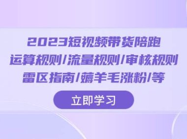 2023短视频·带货陪跑:运算规则/流量规则/审核规则/雷区指南/薅羊毛涨粉..