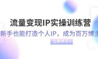 流量变现-IP实操训练营:新手也能打造个人IP,成为百万博主(46节课)