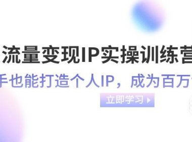 流量变现-IP实操训练营:新手也能打造个人IP,成为百万博主(46节课)
