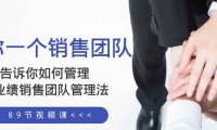 给你一个销售团队,告诉你如何管理,高业绩销售团队管理法(89节课)