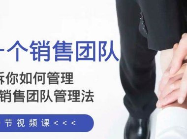 给你一个销售团队,告诉你如何管理,高业绩销售团队管理法(89节课)