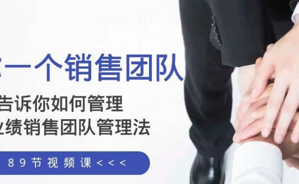 给你一个销售团队,告诉你如何管理,高业绩销售团队管理法(89节课)