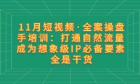 11月短视频·全案操盘手培训:打通自然流量 成为想象级IP必备要素 全是干货