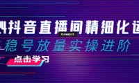 2024抖音直播间精细化运营:稳号放量实操进阶 选品/排品/起号/小店随心推/千川付费如何去投放