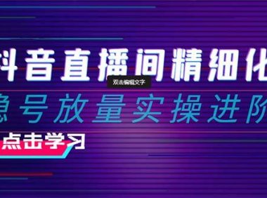 2024抖音直播间精细化运营:稳号放量实操进阶 选品/排品/起号/小店随心推/千川付费如何去投放
