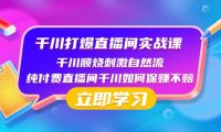 千川-打爆直播间实战课:千川顺烧刺激自然流 纯付费直播间千川如何保赚不赔