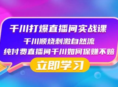千川-打爆直播间实战课:千川顺烧刺激自然流 纯付费直播间千川如何保赚不赔