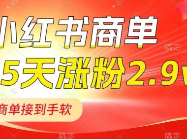 小红书商单最新玩法,新号15天2.9w粉,商单接到手软,1分钟一篇笔记