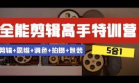 全能剪辑-高手特训营:剪辑 思维 调色 拍摄 包装(5合1)53节课