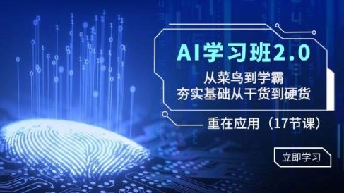 AI学习班2.0：从菜鸟到学霸，夯实基础从干货到硬货，重在应用（17节课）