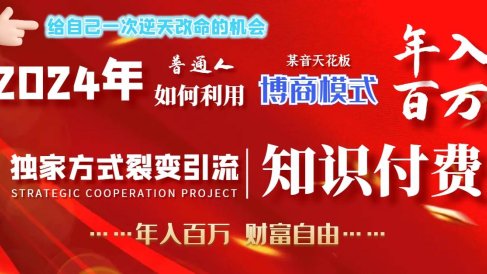 2024年普通人如何利用博商模式做翻身项目年入百万,财富自由