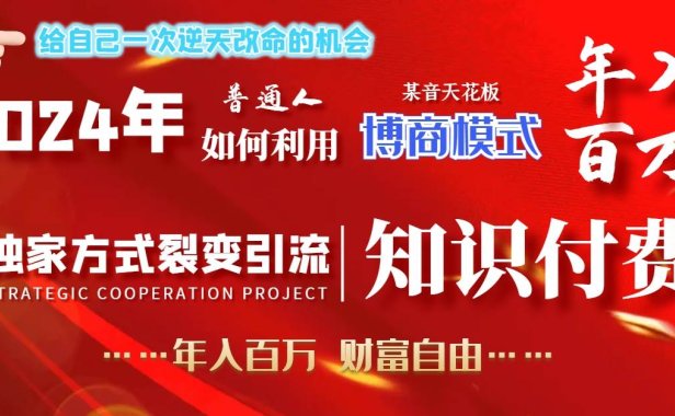 2024年普通人如何利用博商模式做翻身项目年入百万,财富自由