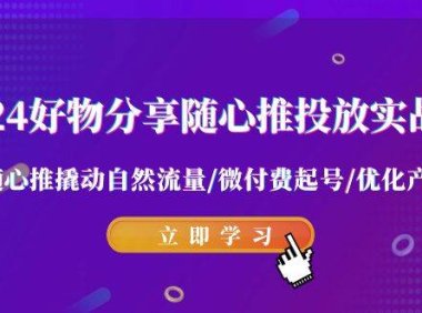 2024好物分享-随心推投放实战课 随心推撬动自然流量/微付费起号/优化产出