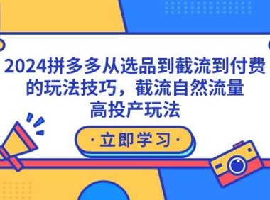 2024拼多多从选品到截流到付费的玩法技巧,截流自然流量玩法,高投产玩法