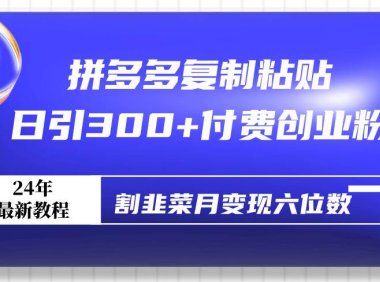 拼多多复制粘贴日引300+付费创业粉,割韭菜月变现六位数最新教程!