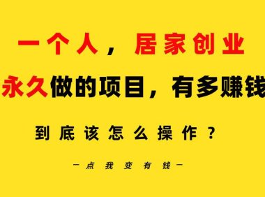 一个人,居家创业:B站每天10分钟,单账号日引创业粉100+,月稳定变现5W…