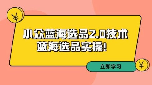 拼多多培训第33期：小众蓝海选品2.0技术-蓝海选品实操！