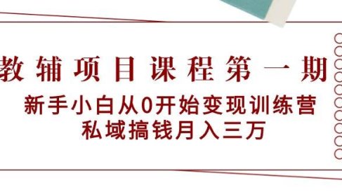 教辅项目课程第一期：新手小白从0开始变现训练营  私域搞钱月入三万