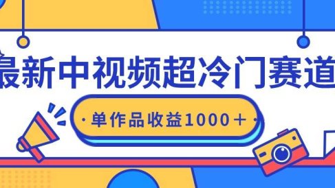 最新中视频超冷门赛道,轻松过原创,单条视频收益1000+