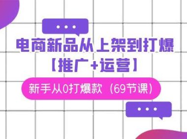 电商 新品从上架到打爆【推广+运营】，新手从0打爆款（69节课）