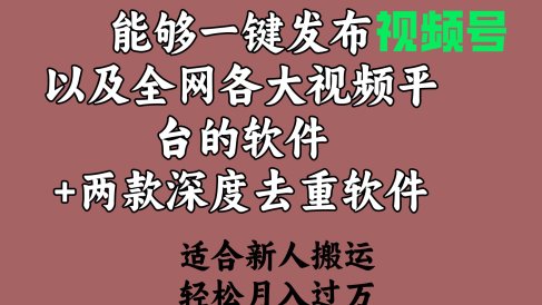 能够一键发布视频号以及全网各大视频平台的软件+两款深度去重软件 适合…