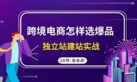 跨境电商怎样选爆品，独立站建站实战（20节高清无水印课）