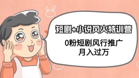 短剧+小说风火特训营,0粉短剧风行推广,月入过万(102节课)