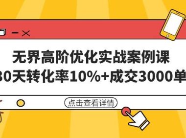无界高阶优化实战案例课，30天转化率10%+成交3000单（8节课）