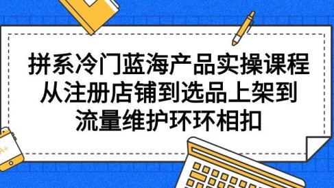 拼系冷门蓝海产品实操课程，从注册店铺到选品上架到流量维护环环相扣