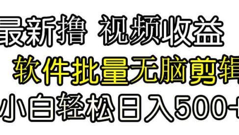 发视频撸收益，软件无脑批量剪辑，第一天发第二天就有钱