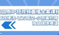 高品质 IP短视频直播-全案课程，有效爆流-百万成交-小而美的精准自媒体赛道