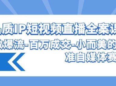 高品质 IP短视频直播-全案课程，有效爆流-百万成交-小而美的精准自媒体赛道