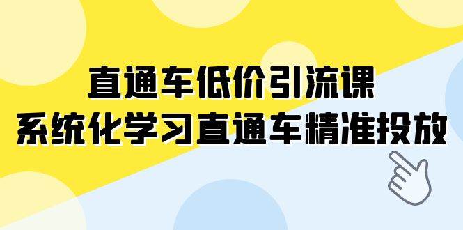 直通车-低价引流课,系统化学习直通车精准投放(14节课)