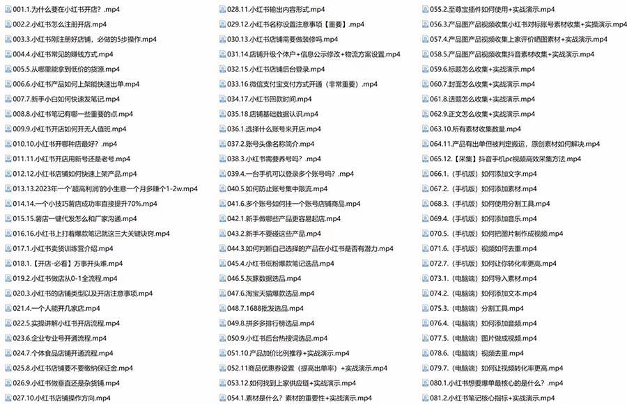 新个体·搞钱-小红书训练营：实战落地运营方法，抓住搞钱方向，每月多搞2w