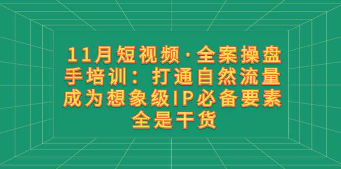 11月短视频·全案操盘手培训:打通自然流量 成为想象级IP必备要素 全是干货
