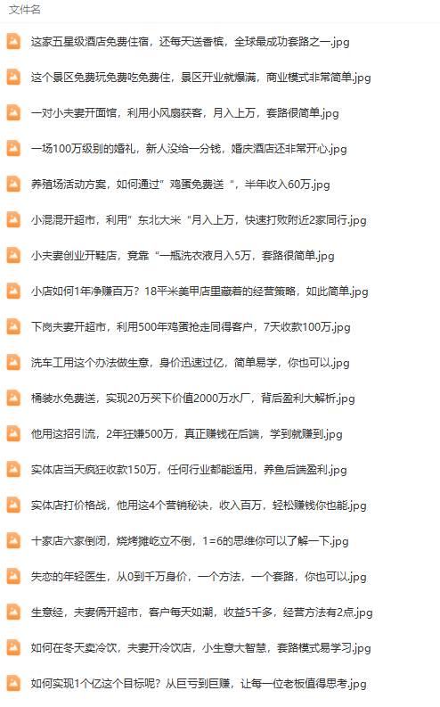 真实有效391套商业模式,年入几十到几百万案例解析(电子书+视频+图文)