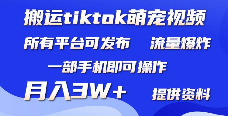 搬运Tiktok萌宠类视频,一部手机即可。所有短视频平台均可操作,月入3W+