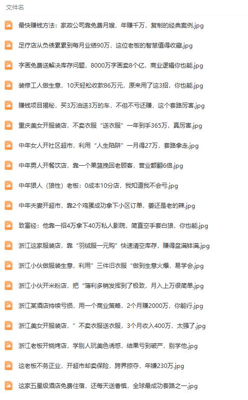 真实有效391套商业模式,年入几十到几百万案例解析(电子书+视频+图文)